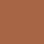 color swatch - orange brown