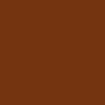 color swatch - dark orange brown