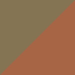 Värv Bronze / Orange Brown