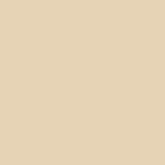 Värv Light Ivory